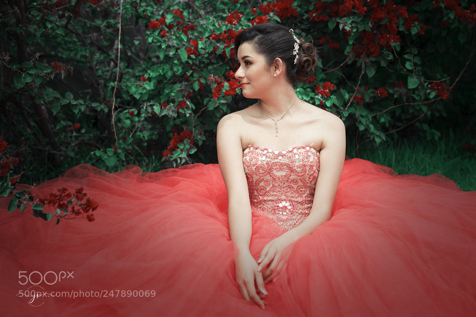 Nikon D800 sample photo. Copia photography