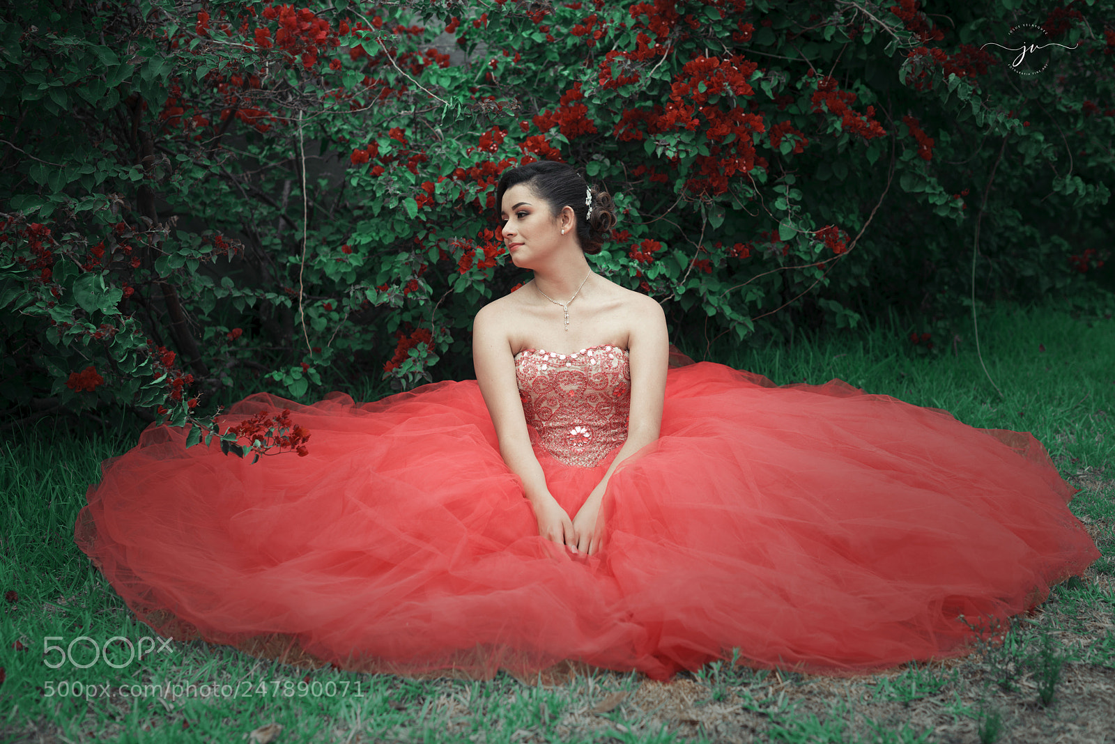 Nikon D800 sample photo. Copia photography