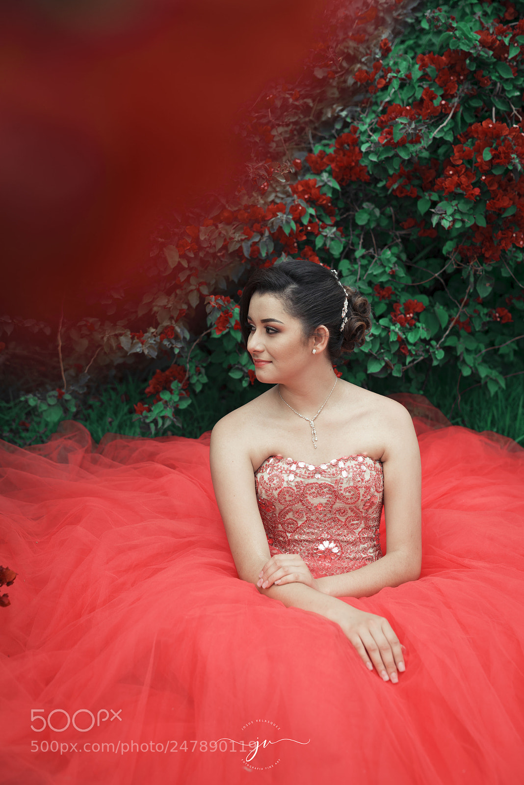Nikon D800 sample photo. Copia photography