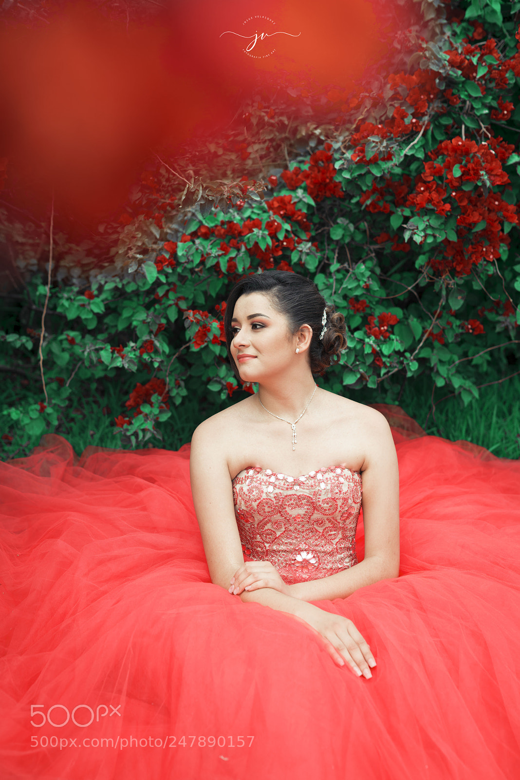 Nikon D800 sample photo. Copia photography