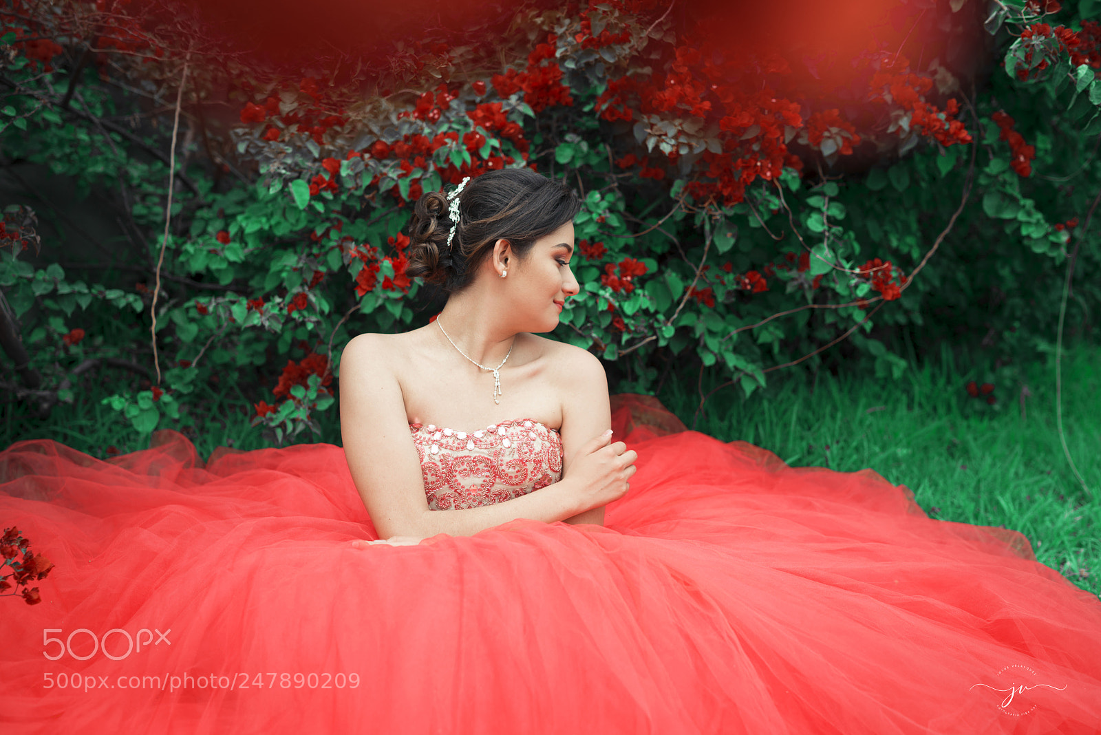 Nikon D800 sample photo. Copia photography
