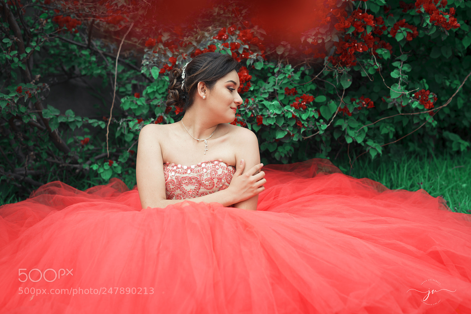 Nikon D800 sample photo. Copia photography