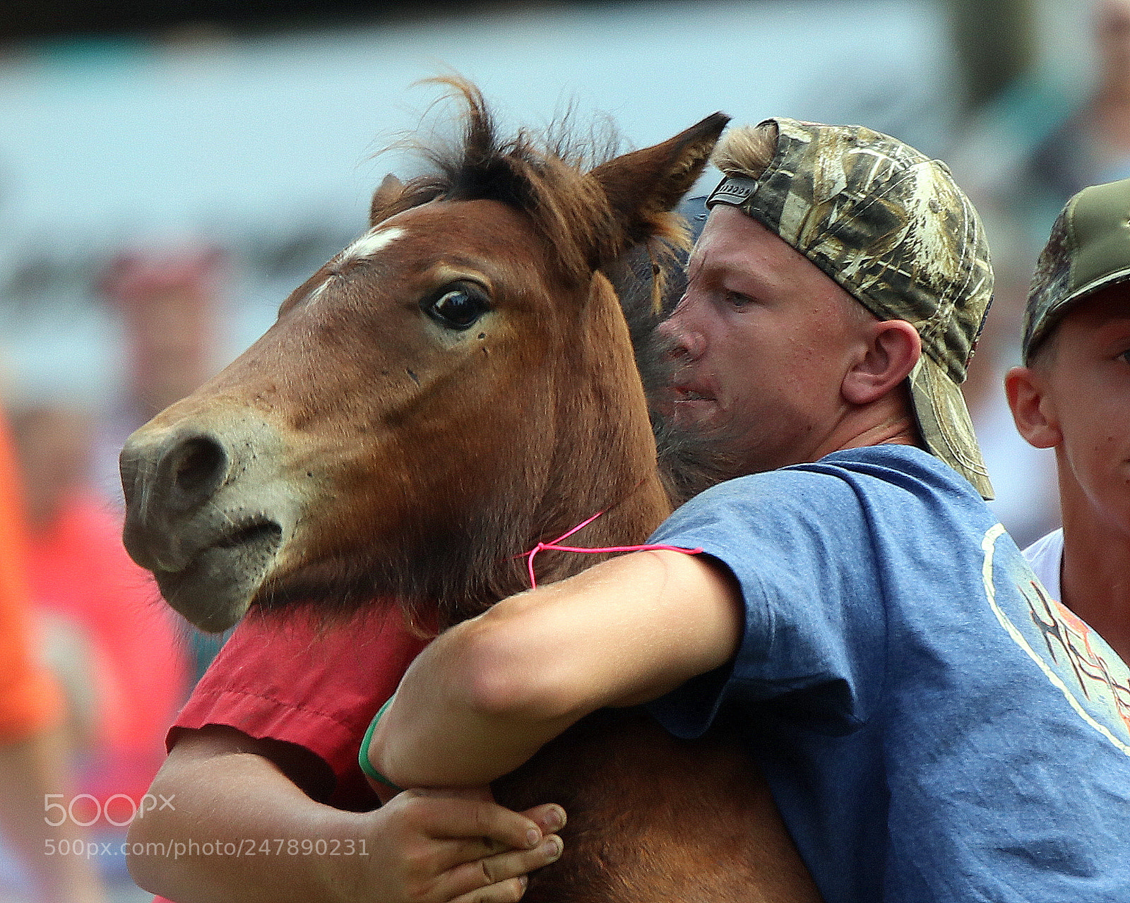 Canon EOS 80D sample photo. Pony wrestling photography