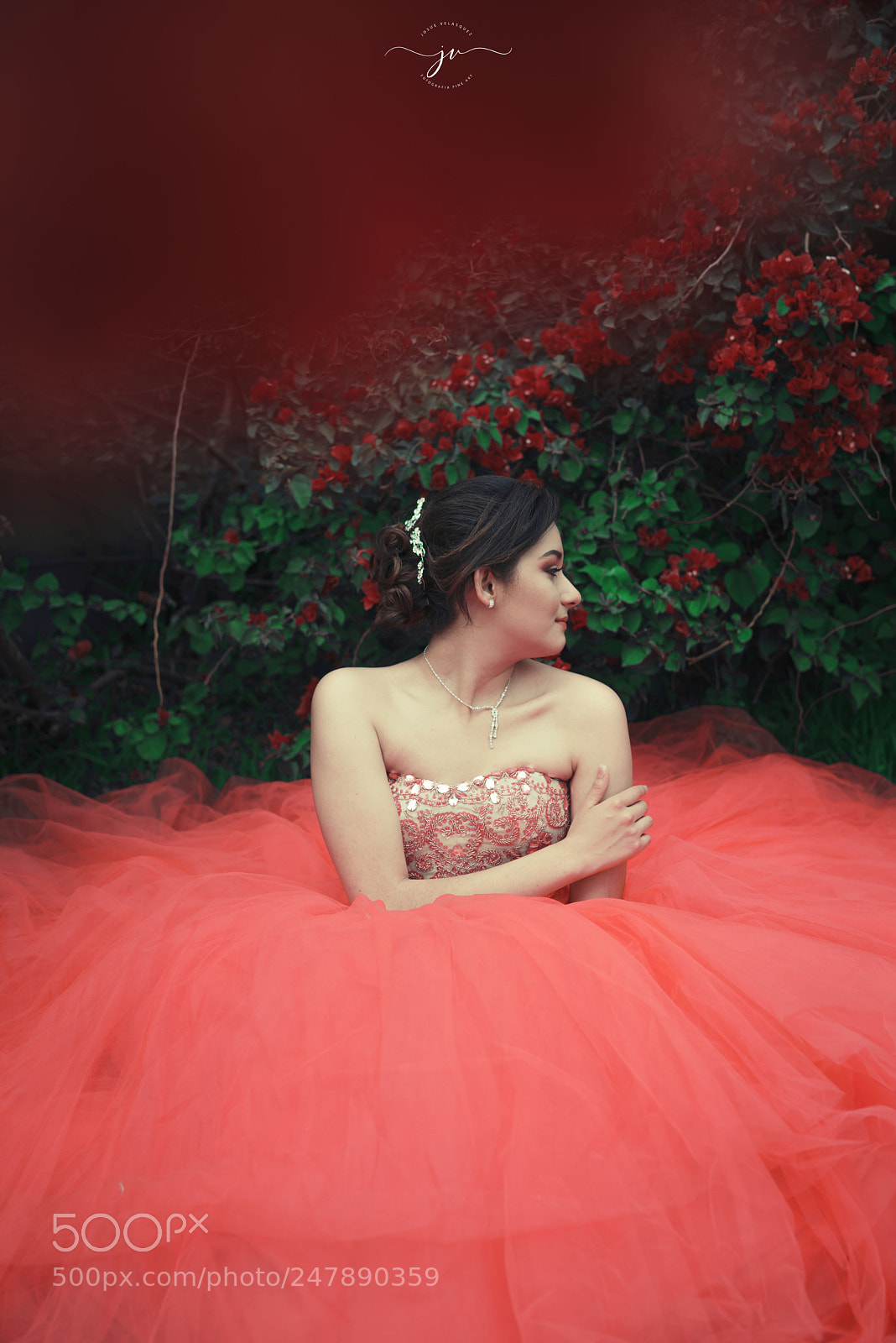 Nikon D800 sample photo. Copia photography