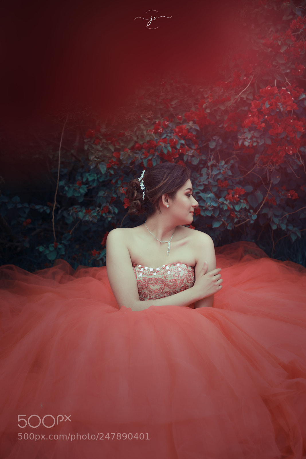 Nikon D800 sample photo. Jos photography