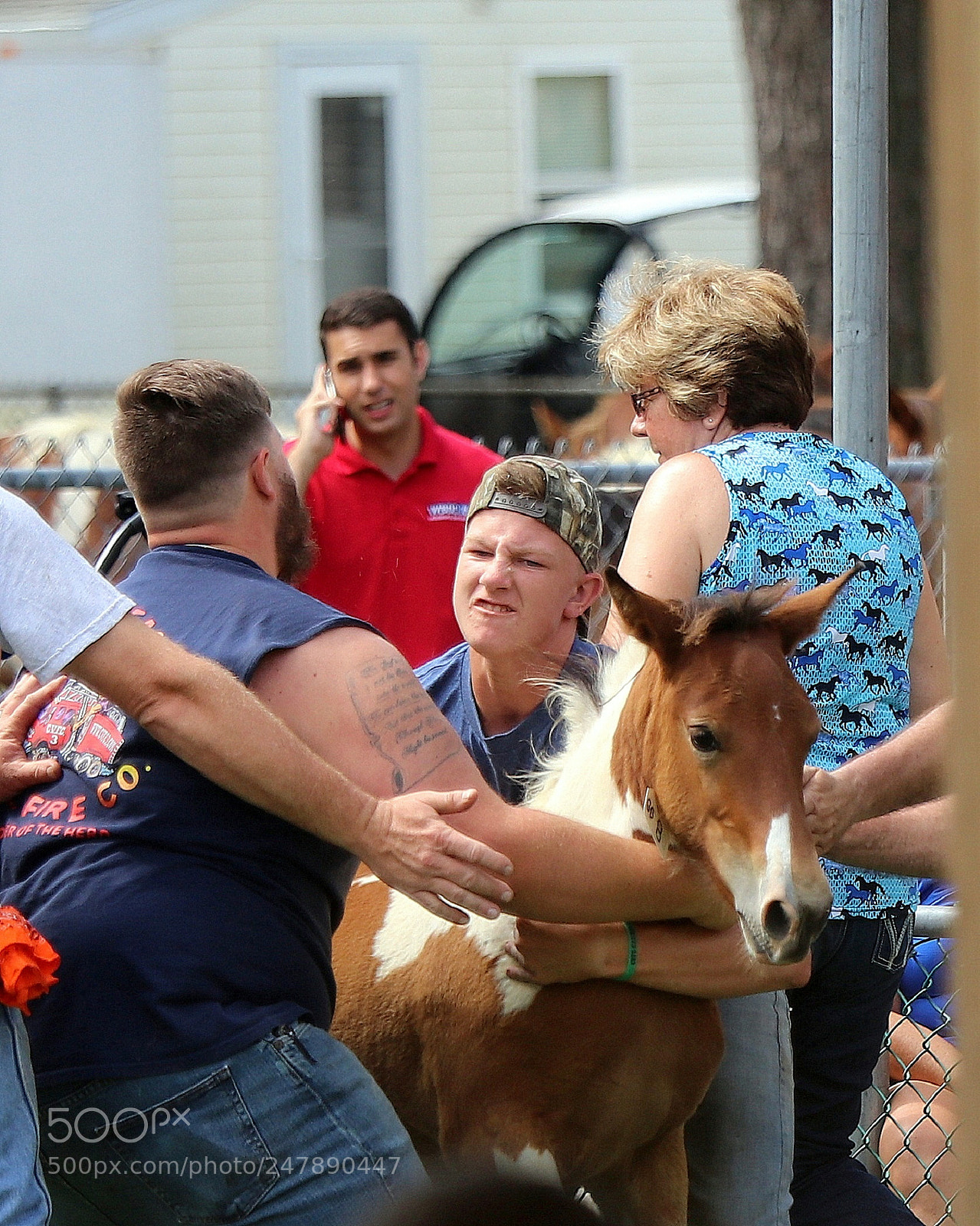 Canon EOS 80D sample photo. Pony wrestling photography