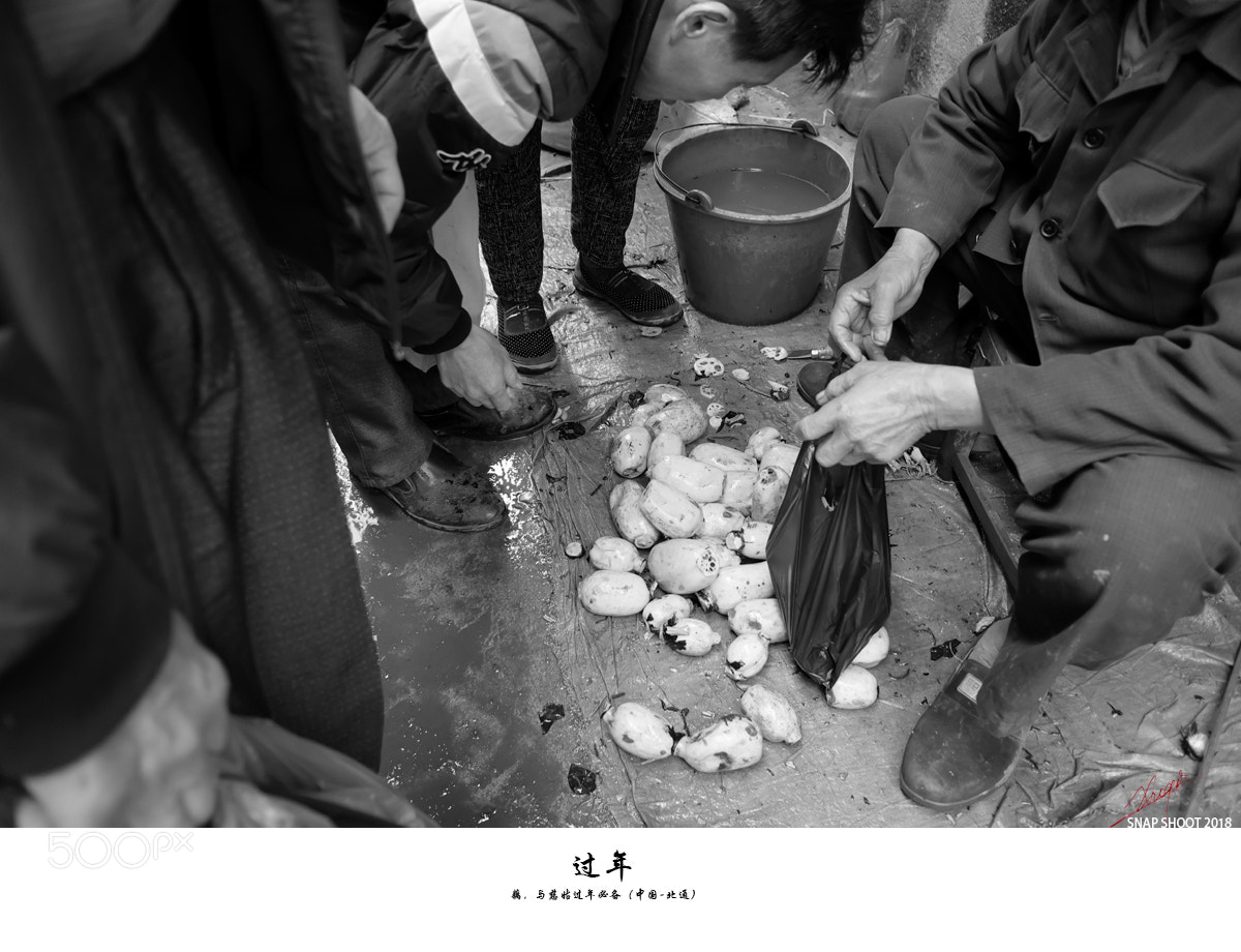 Fujifilm X70 sample photo. 过年（藕） photography