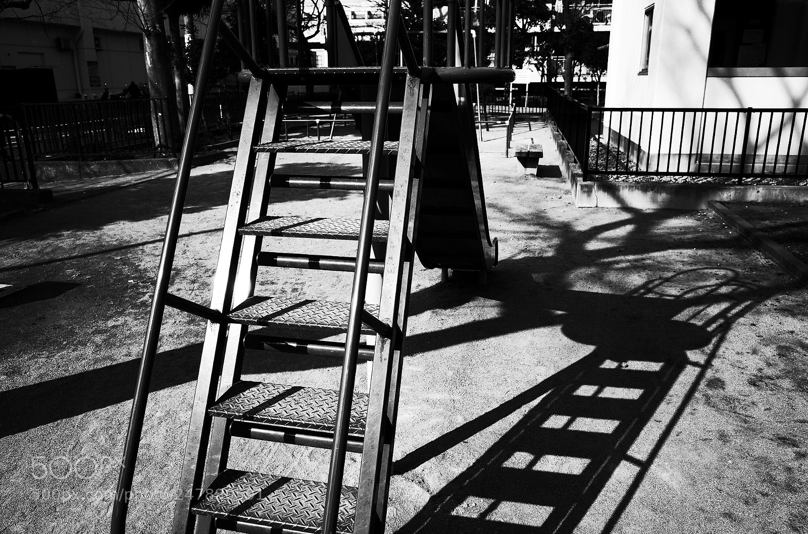 Ricoh GR II sample photo. Park photography