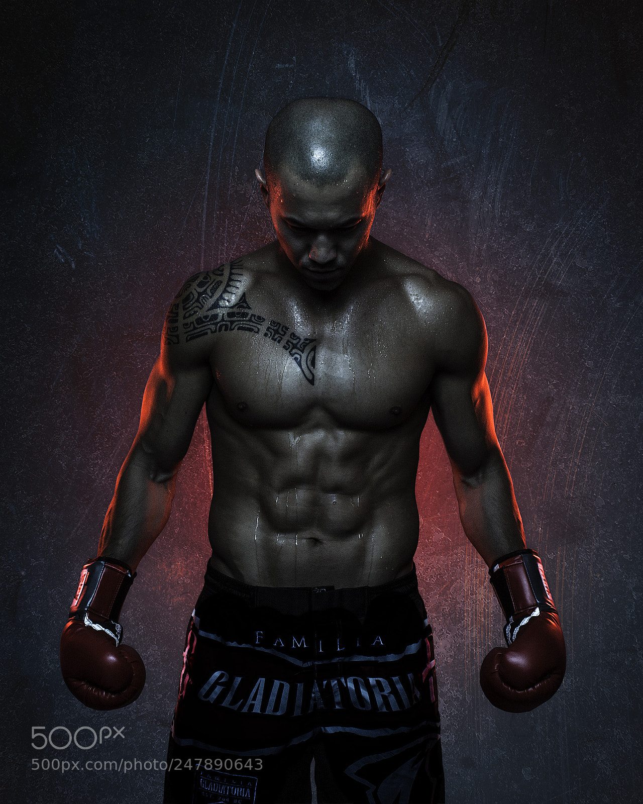 Canon EOS 700D (EOS Rebel T5i / EOS Kiss X7i) sample photo. True warrior photography