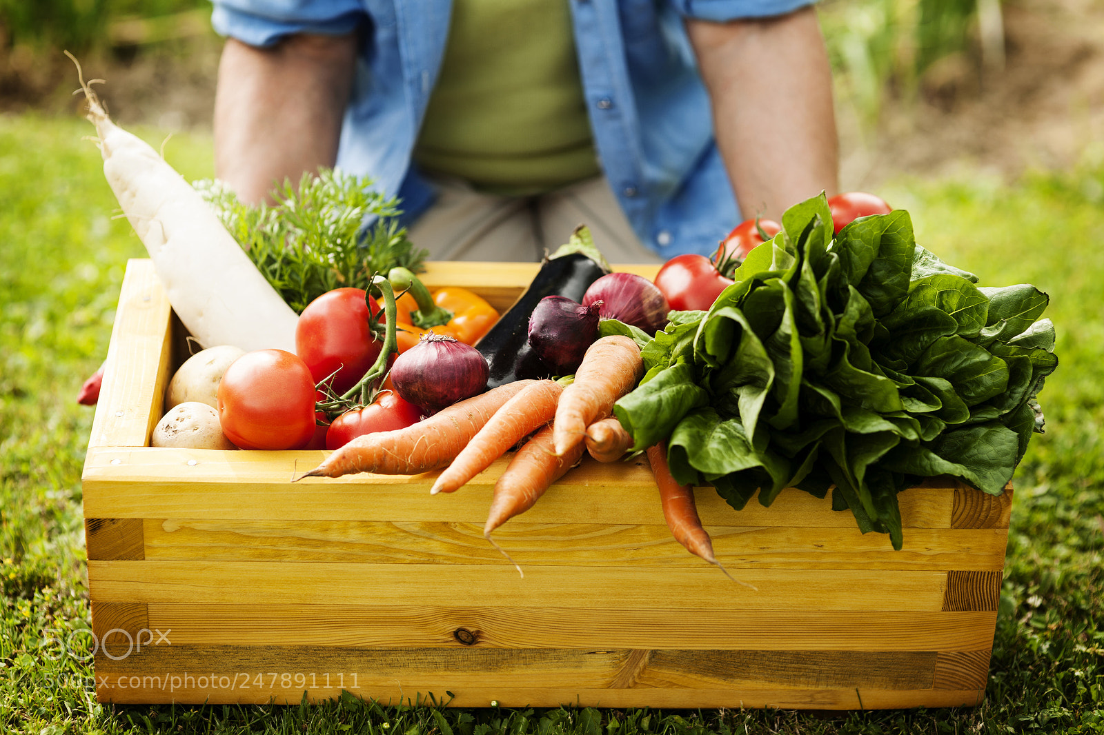 Nikon D3X sample photo. Ketogenic vegan diet photography