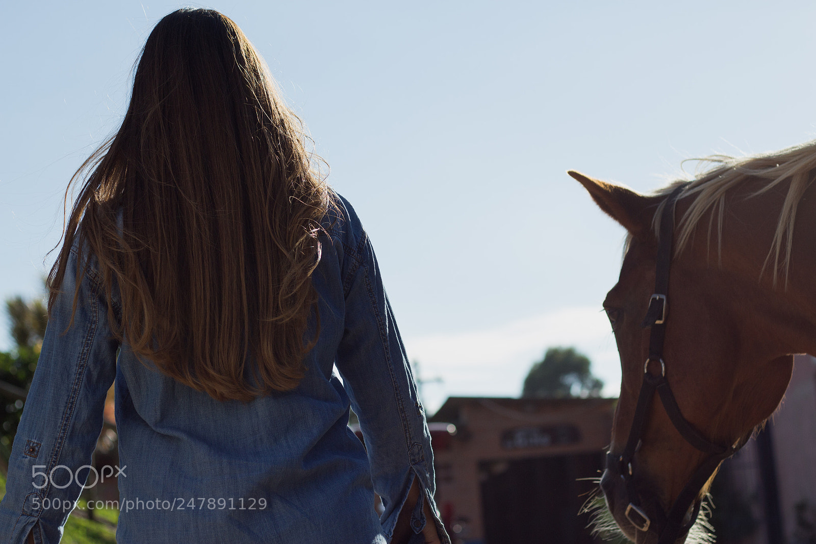 Canon EOS 700D (EOS Rebel T5i / EOS Kiss X7i) sample photo. Momentos e mem rias photography
