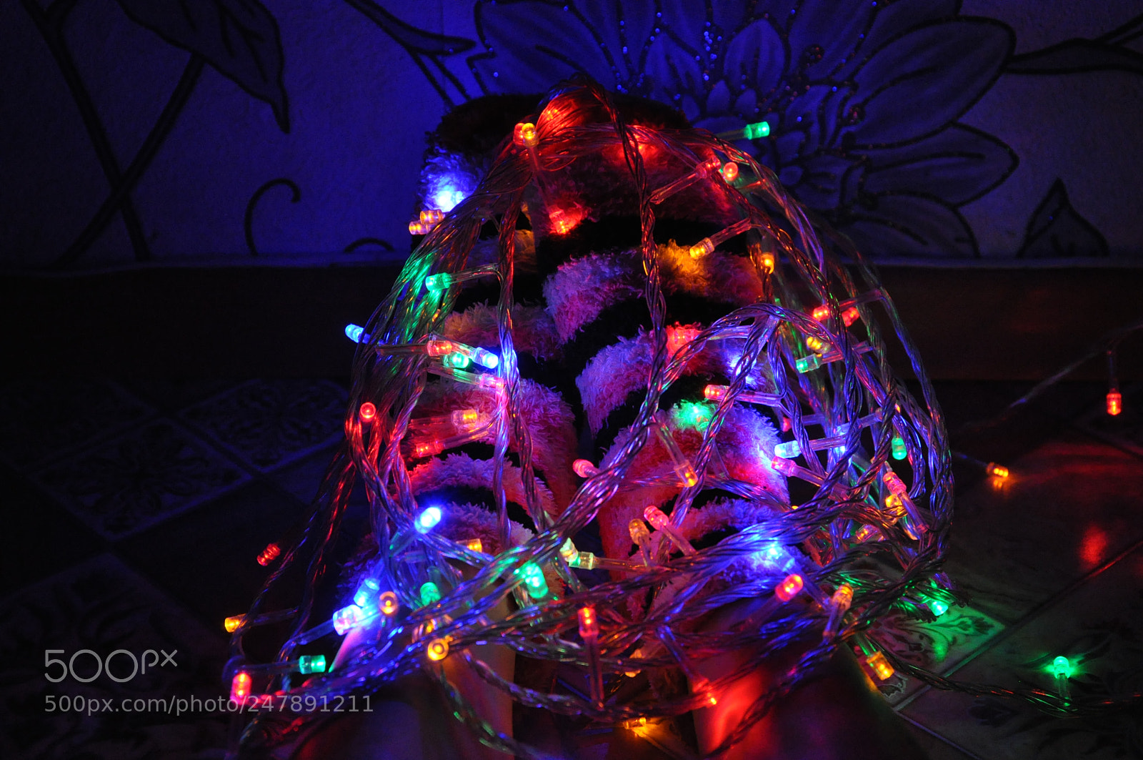 Nikon D90 sample photo. Untitled photography