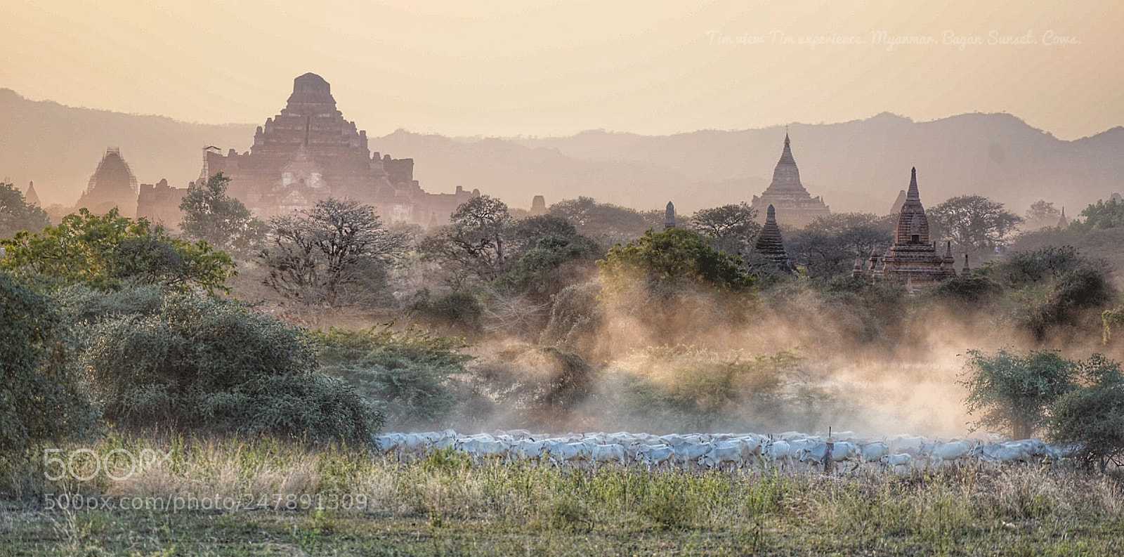 Sony a7R II sample photo. Bagan sunset photography