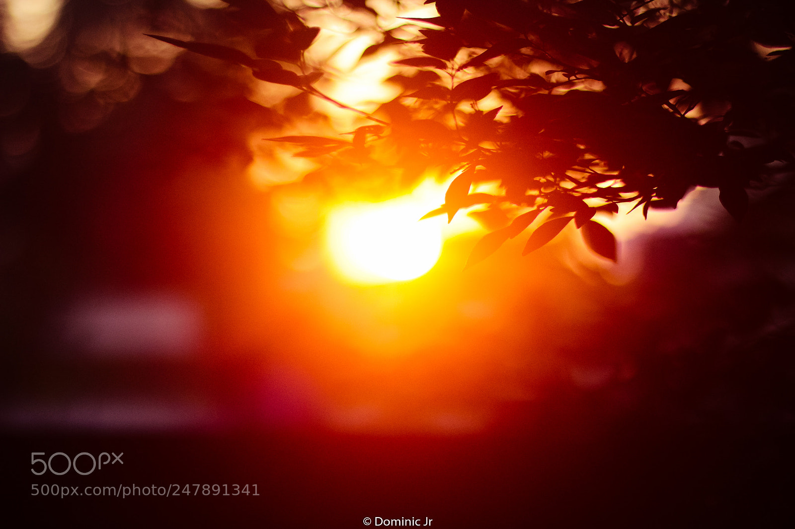 Canon EOS 700D (EOS Rebel T5i / EOS Kiss X7i) sample photo. Sunset photography