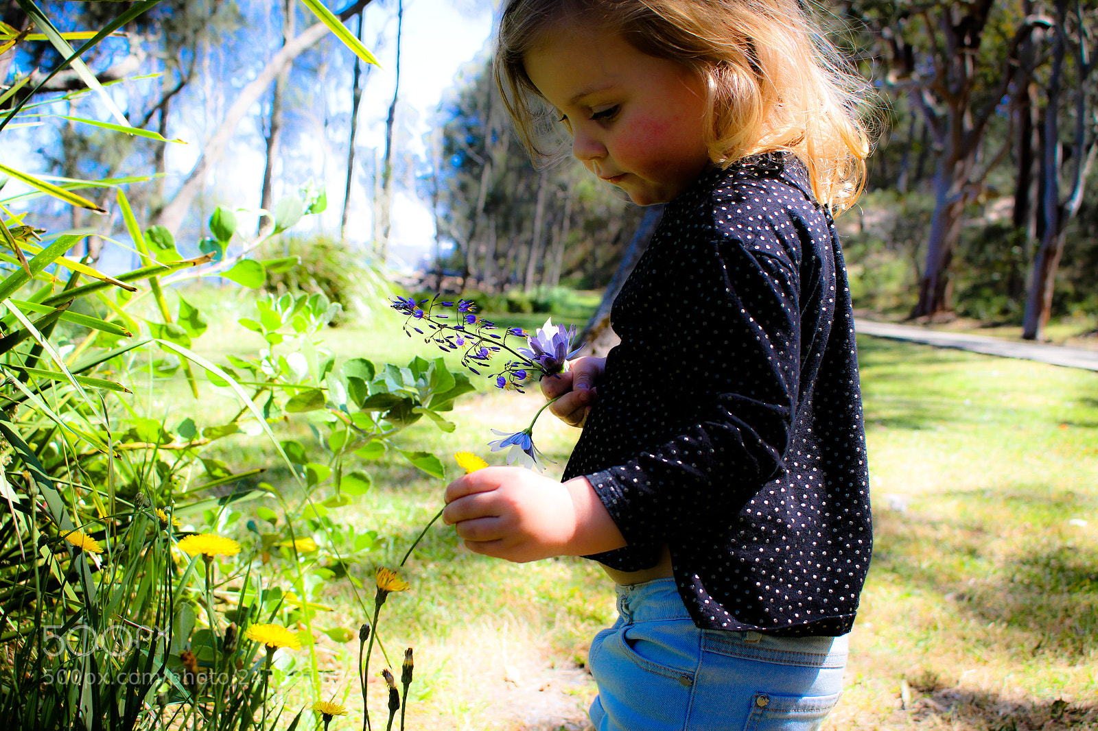 Canon EOS 7D sample photo. Pretty picking photography