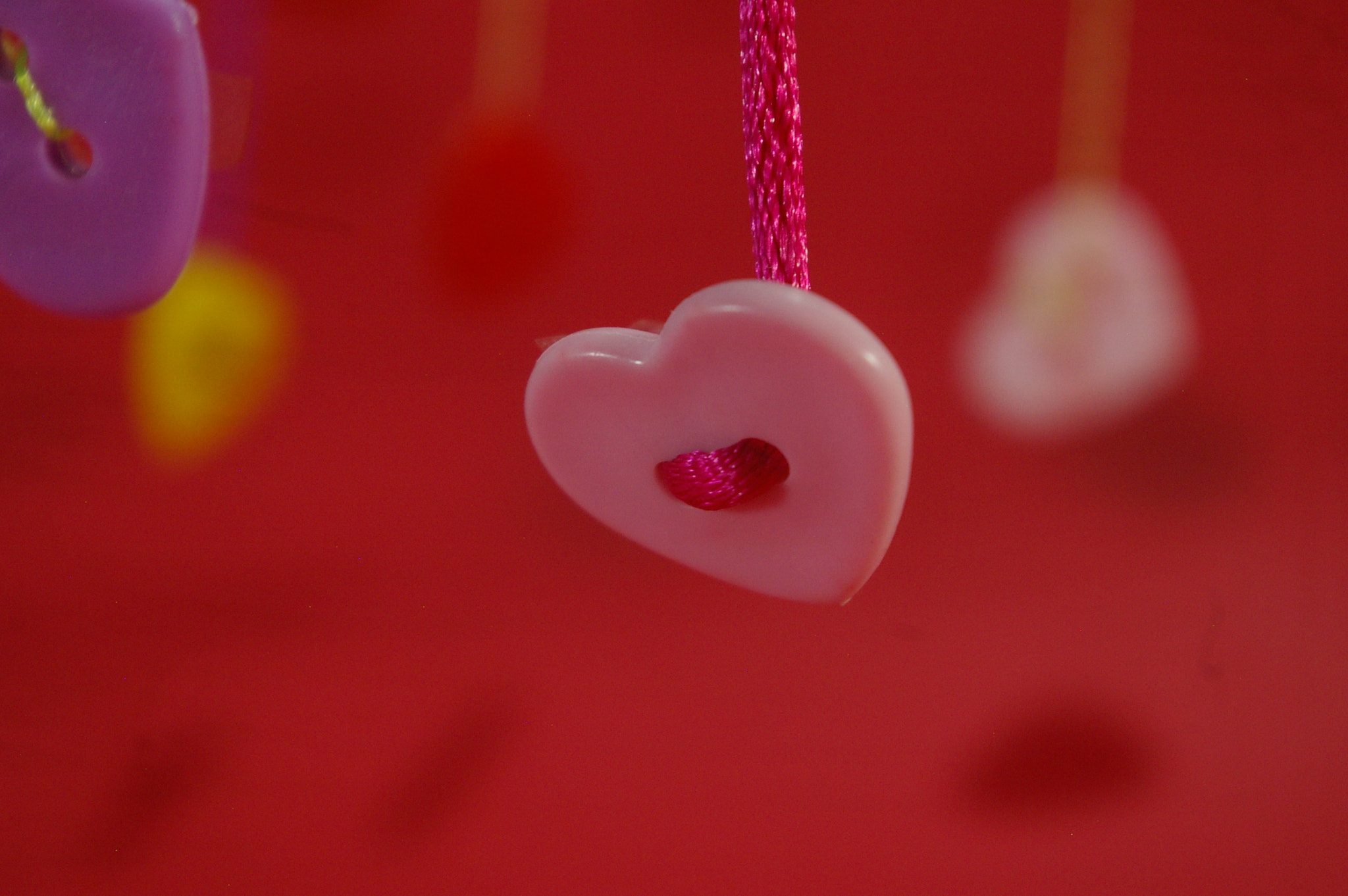 Pentax *ist DL sample photo. Hanging love photography