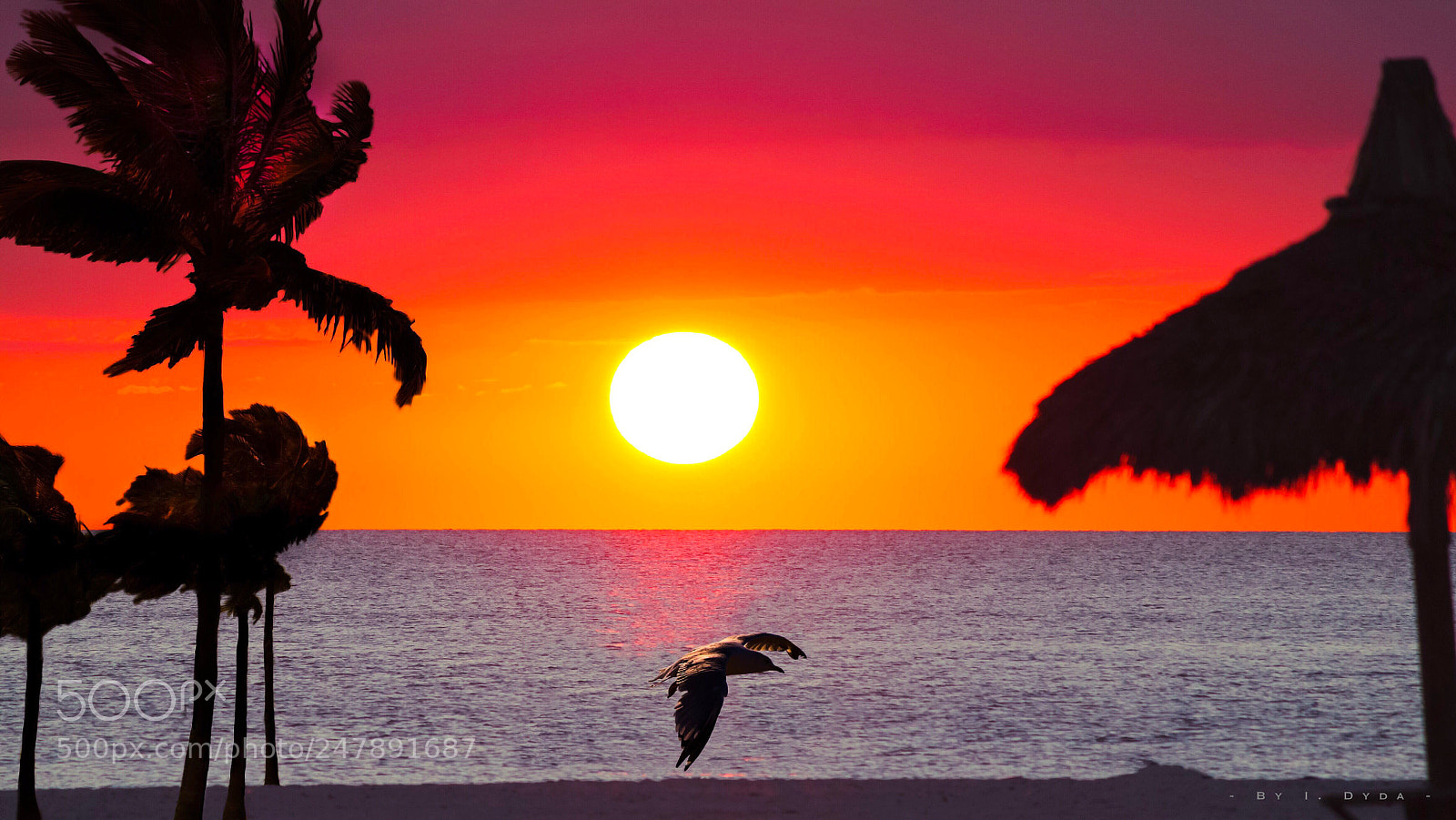 Canon EOS 500D (EOS Rebel T1i / EOS Kiss X3) sample photo. Tropical sunset photography