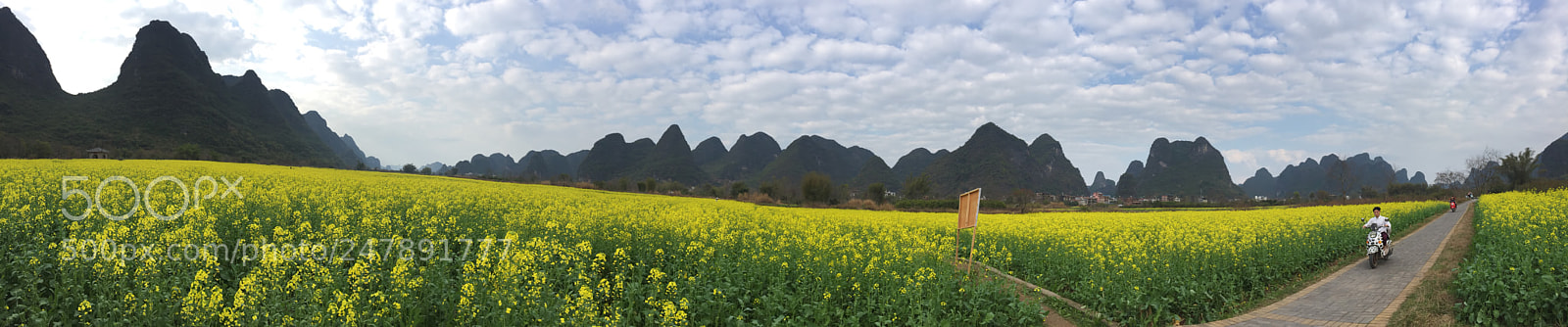 Apple iPhone 6 sample photo. Https m.facebook.com yangshuo-kates-private-tours-127184188097490 photography