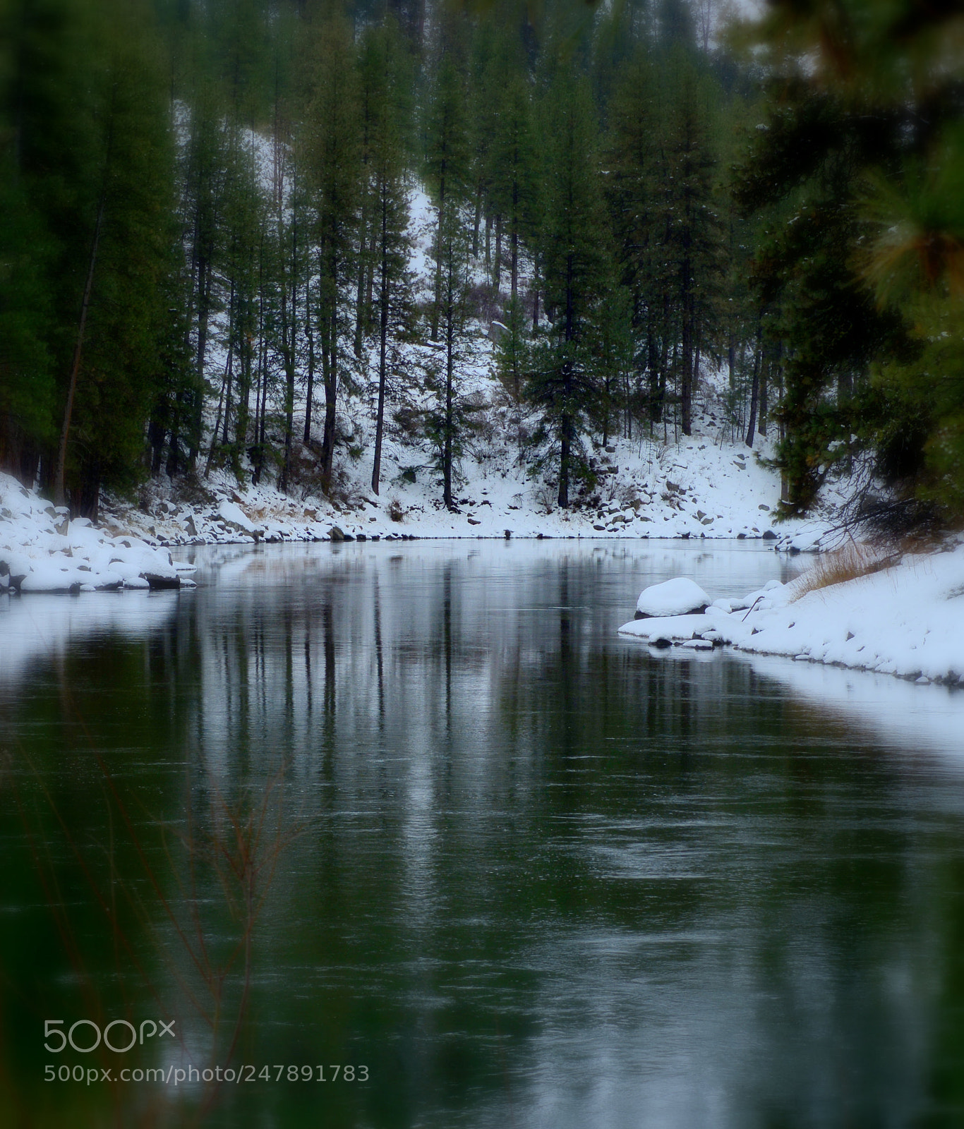 Nikon D800 sample photo. Snowy river photography