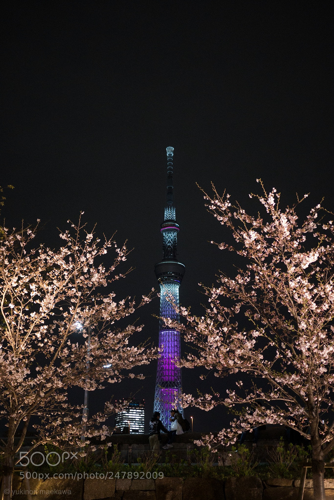 Panasonic Lumix DMC-GX7 sample photo. Tokyo sky tree 2017 photography