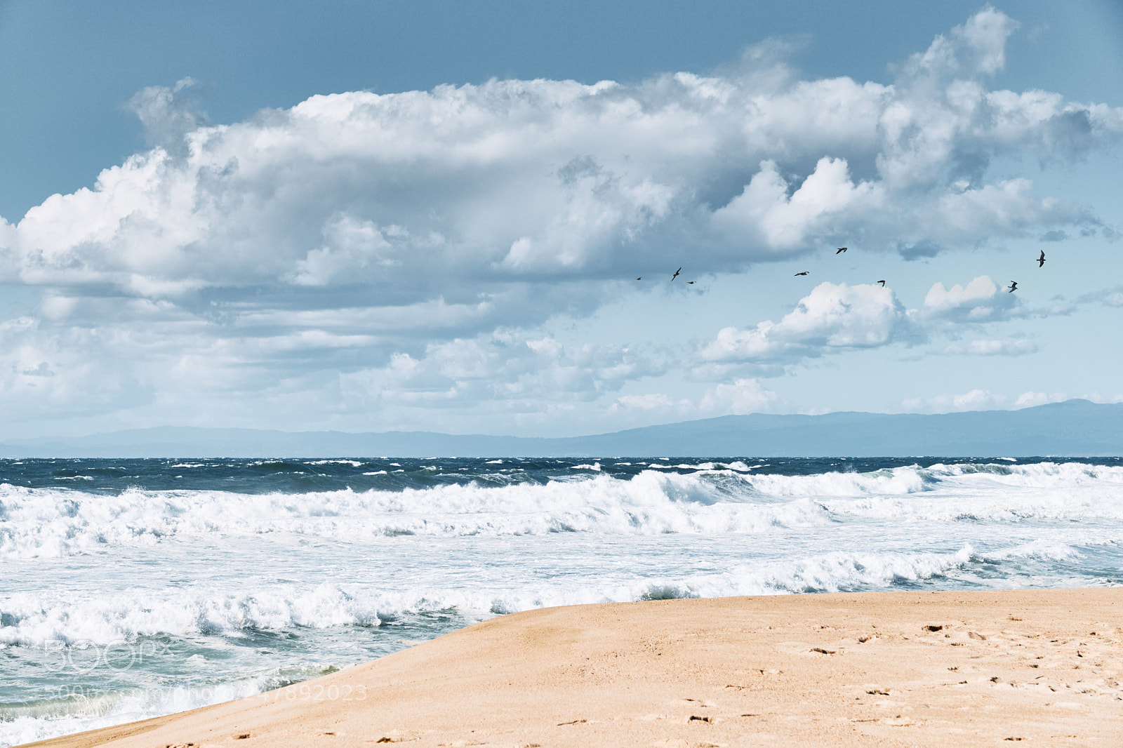 Fujifilm X-T2 sample photo. Windy day on a photography