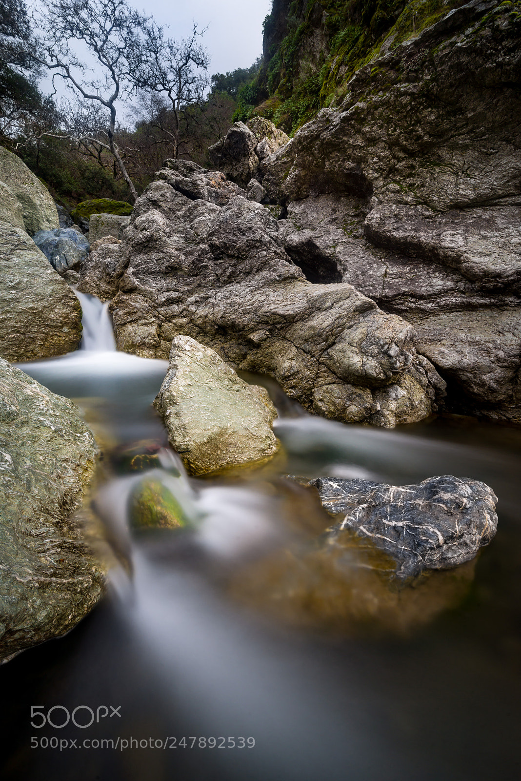 Nikon D610 sample photo. Flows for ions photography