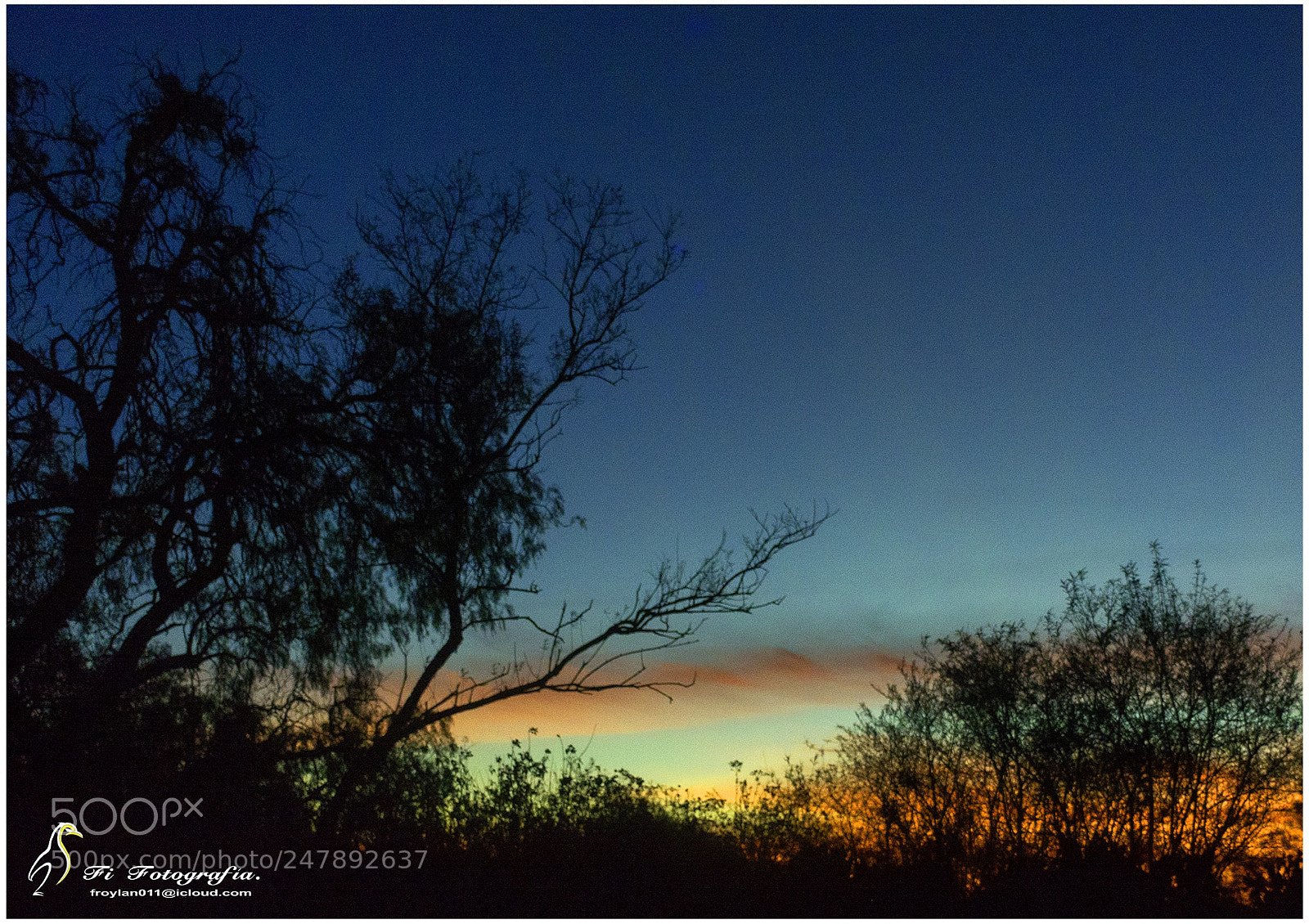 Nikon D7100 sample photo. Tan solo un poco photography