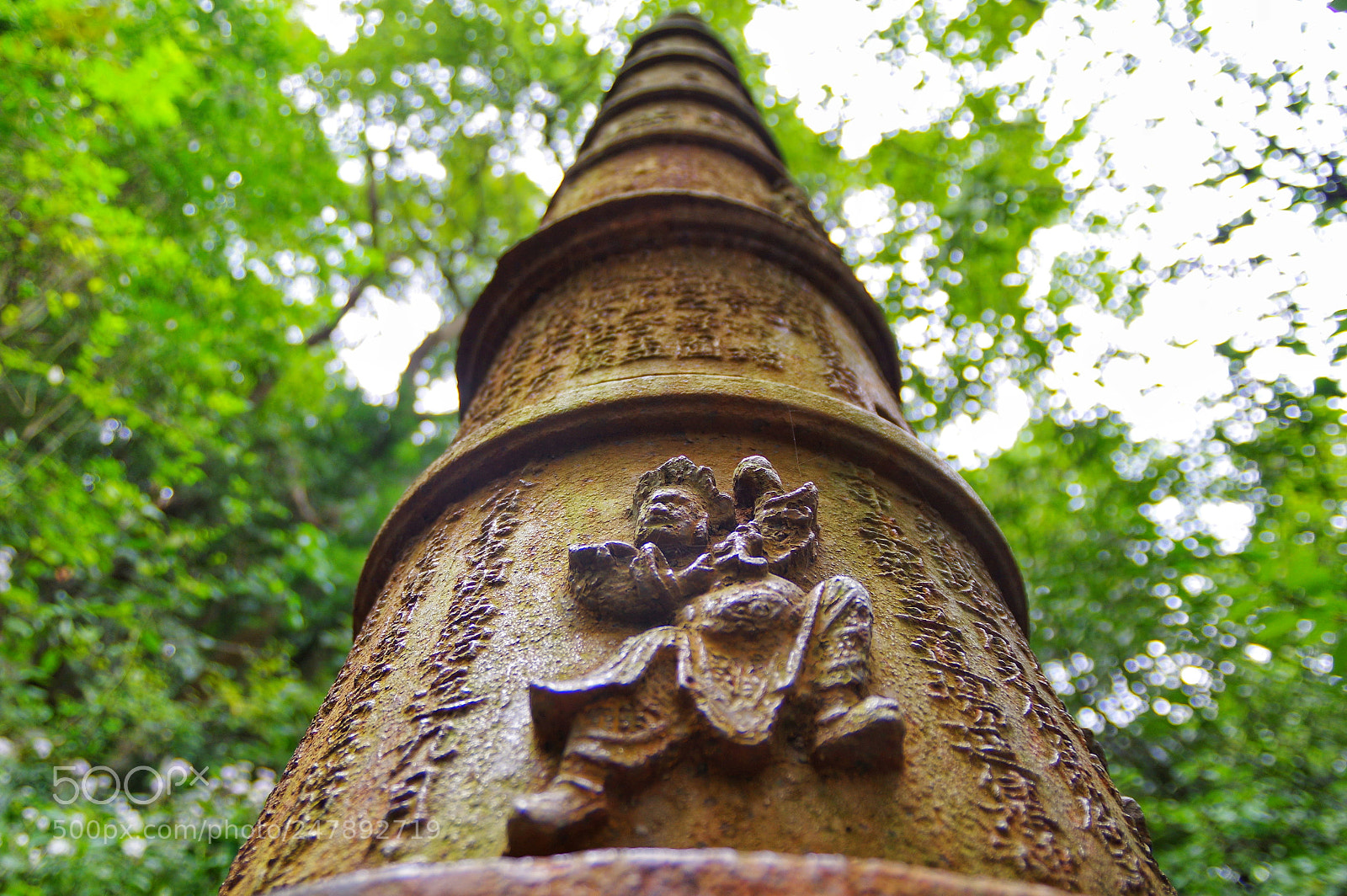 Pentax K-3 II sample photo. Untitled photography