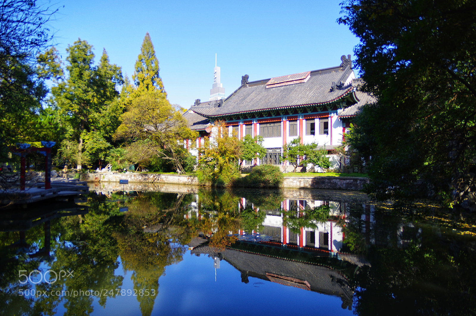 Pentax K-3 II sample photo. Untitled photography