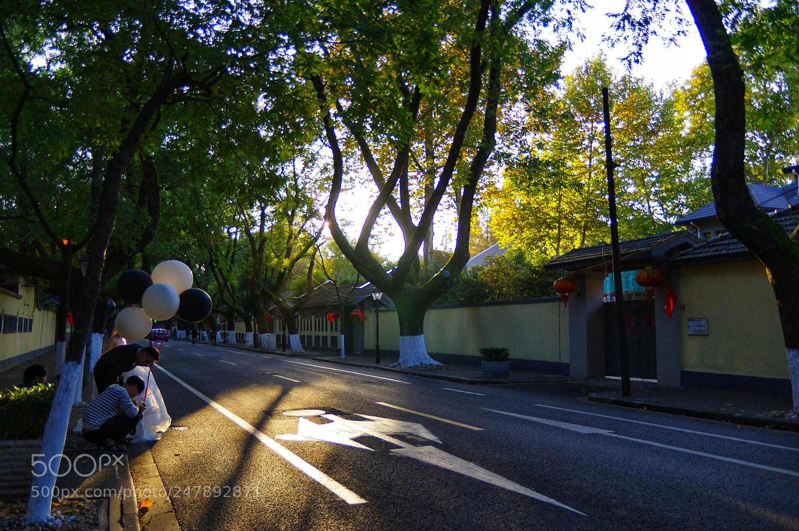 Pentax K-3 II sample photo. Untitled photography
