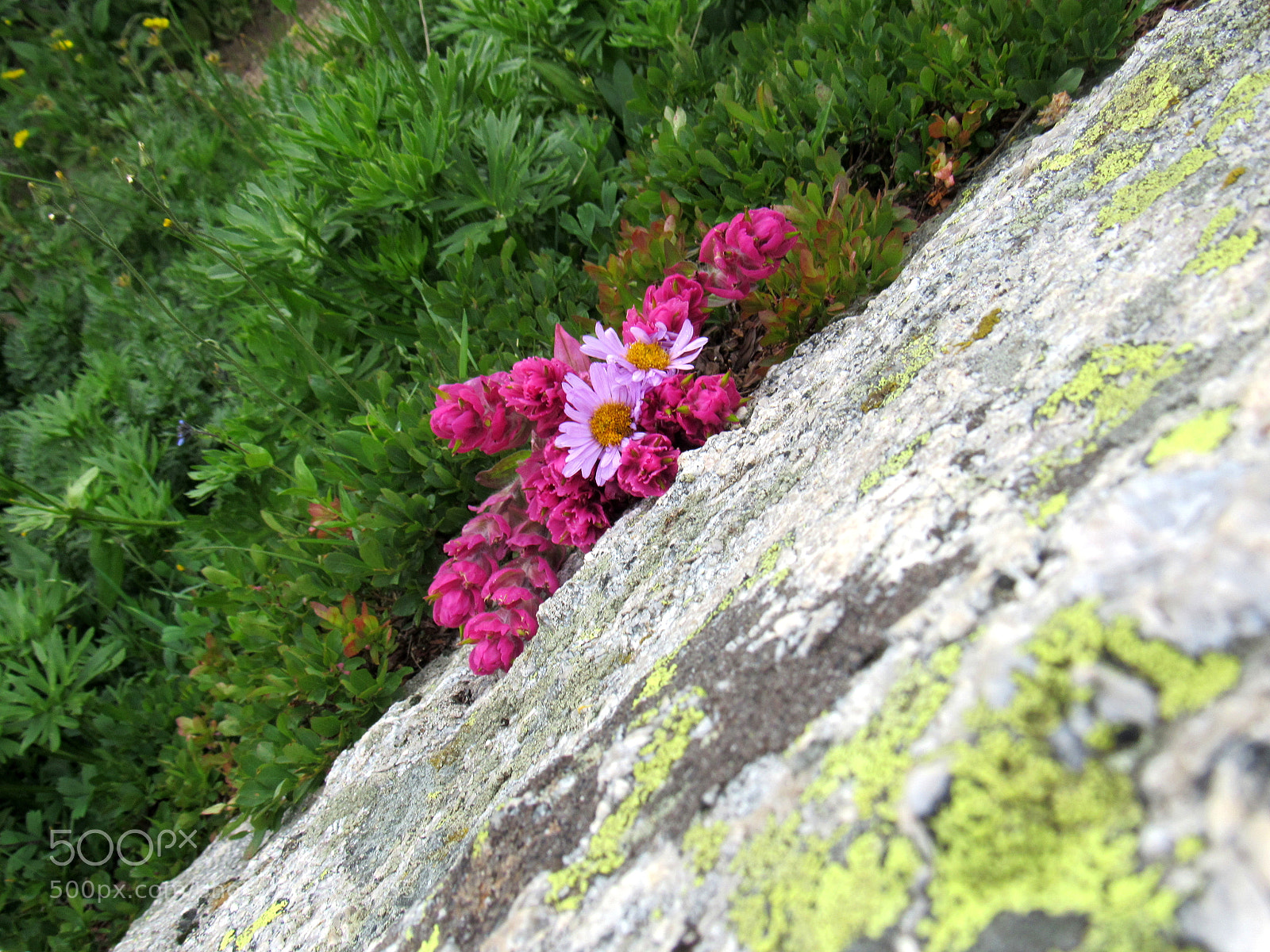 Canon PowerShot SX520 HS sample photo. Split diagonally photography