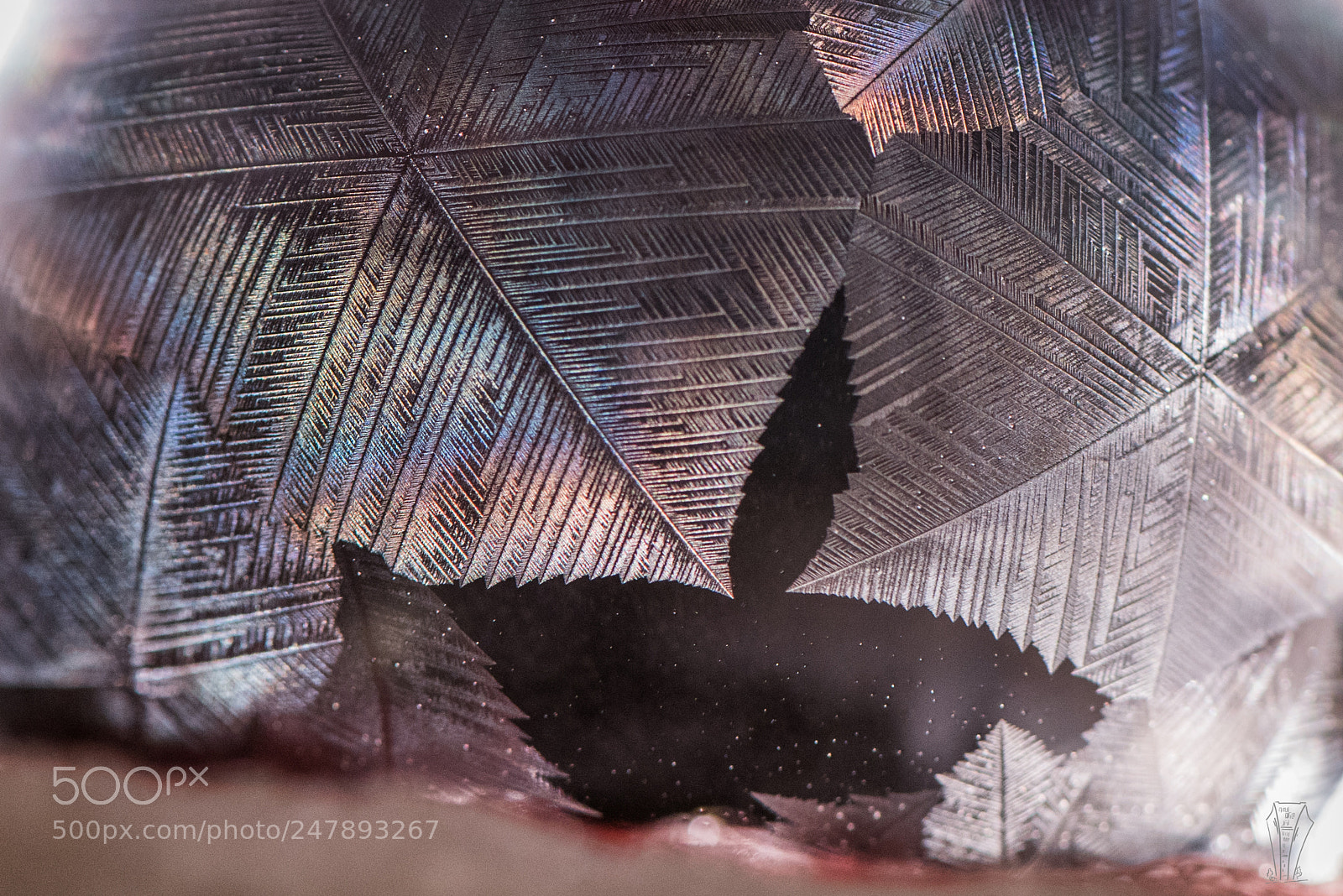Nikon D810 sample photo. Icy crystals on soap photography
