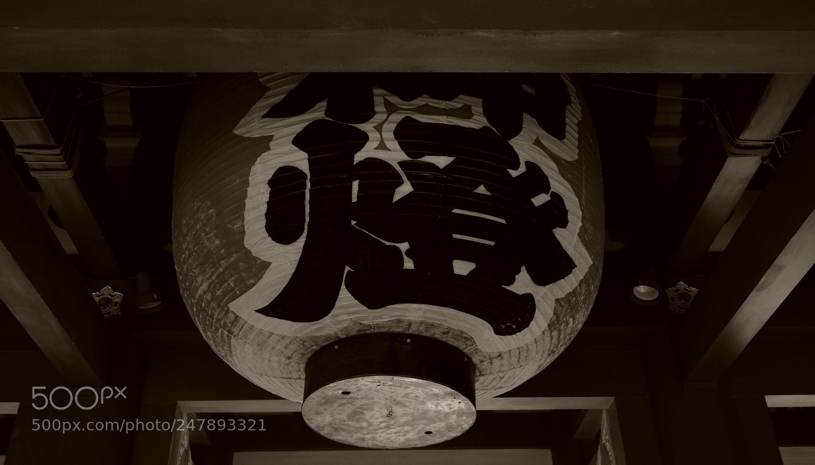 Fujifilm X-T2 sample photo. Untitled photography