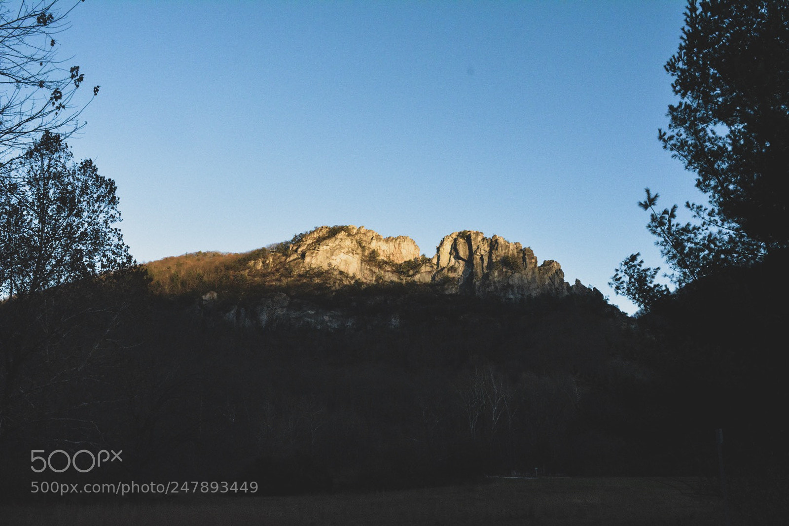 Nikon D5200 sample photo. True at first light photography