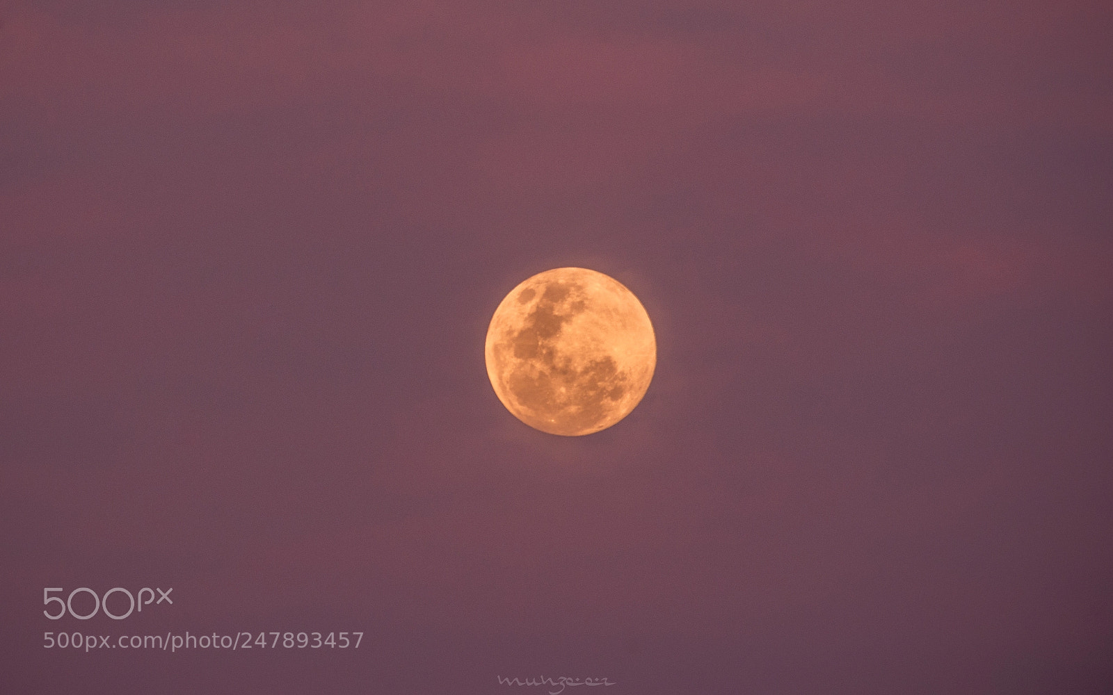 Nikon D7200 sample photo. Pink moon photography