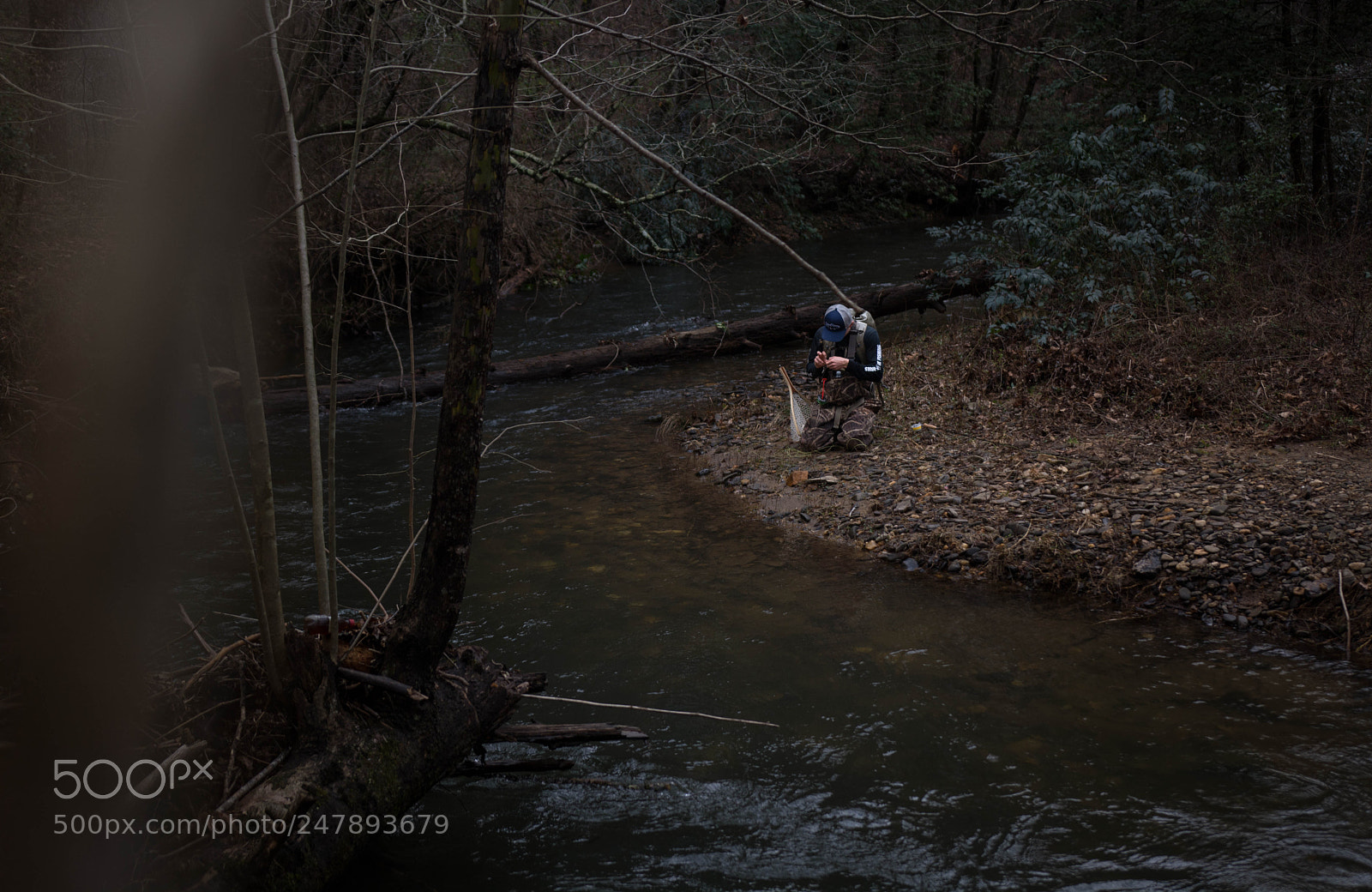 Nikon D5200 sample photo. The struggle photography
