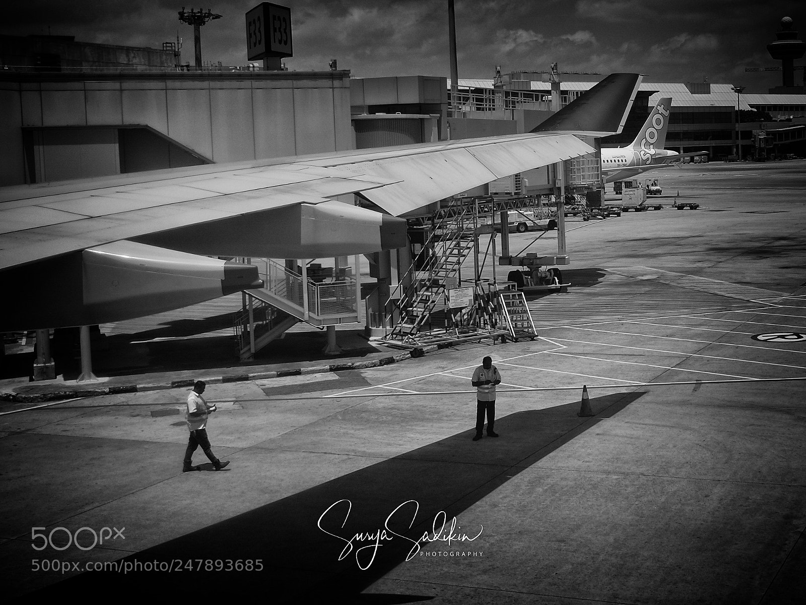 Fujifilm X70 sample photo. Hiding under the wing's photography