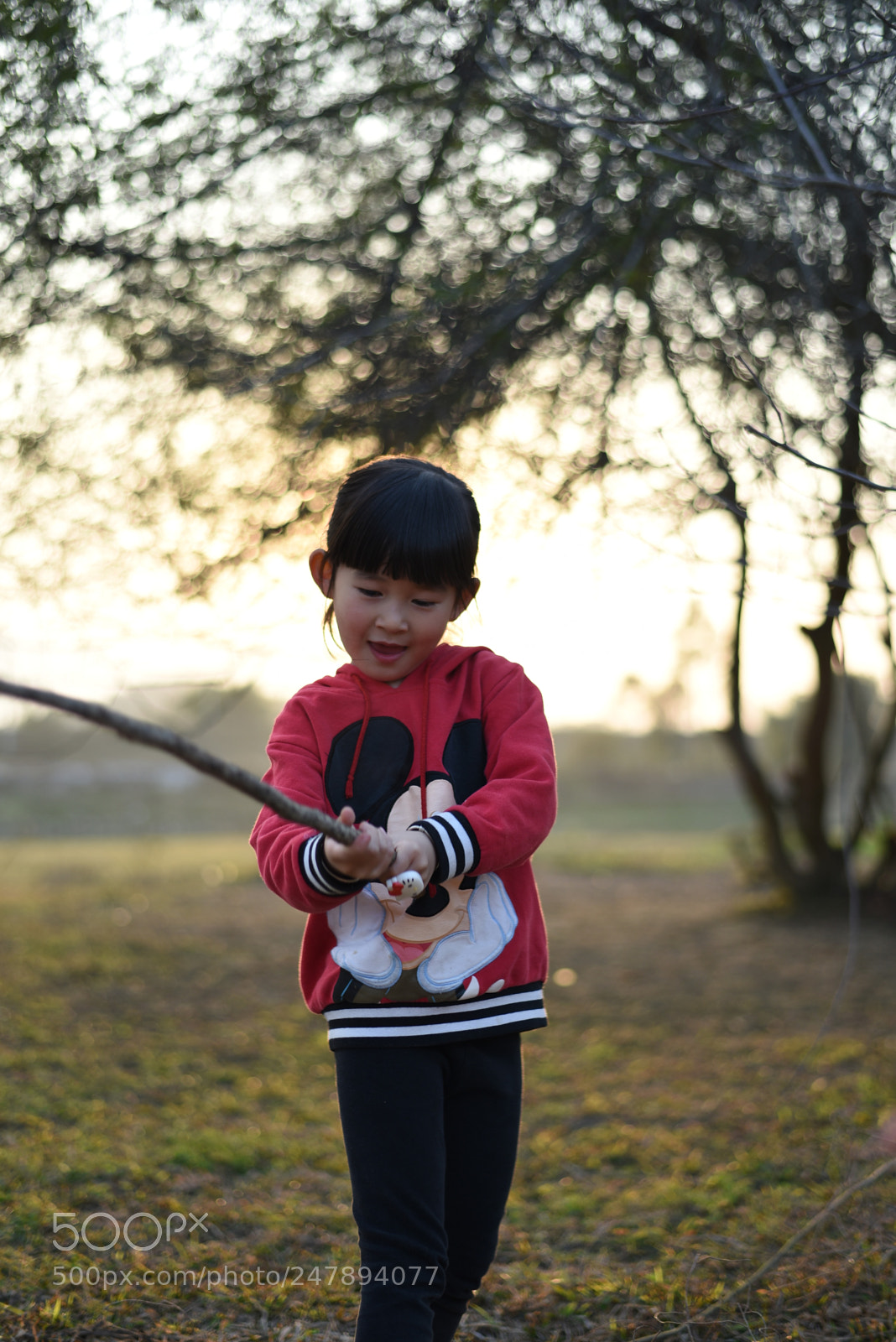 Nikon D750 + Nikon AF-S Nikkor 50mm F1.8G sample photo. Untitled photography