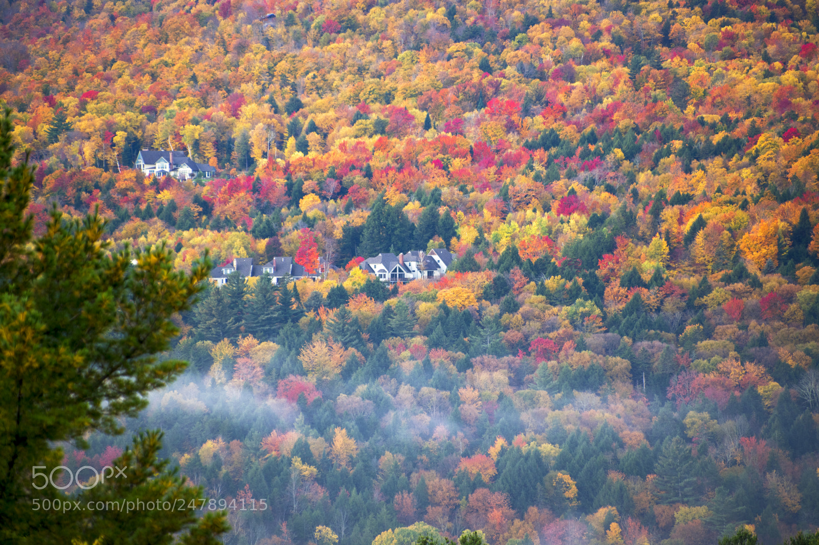 Pentax K-3 II sample photo. The autumn photography