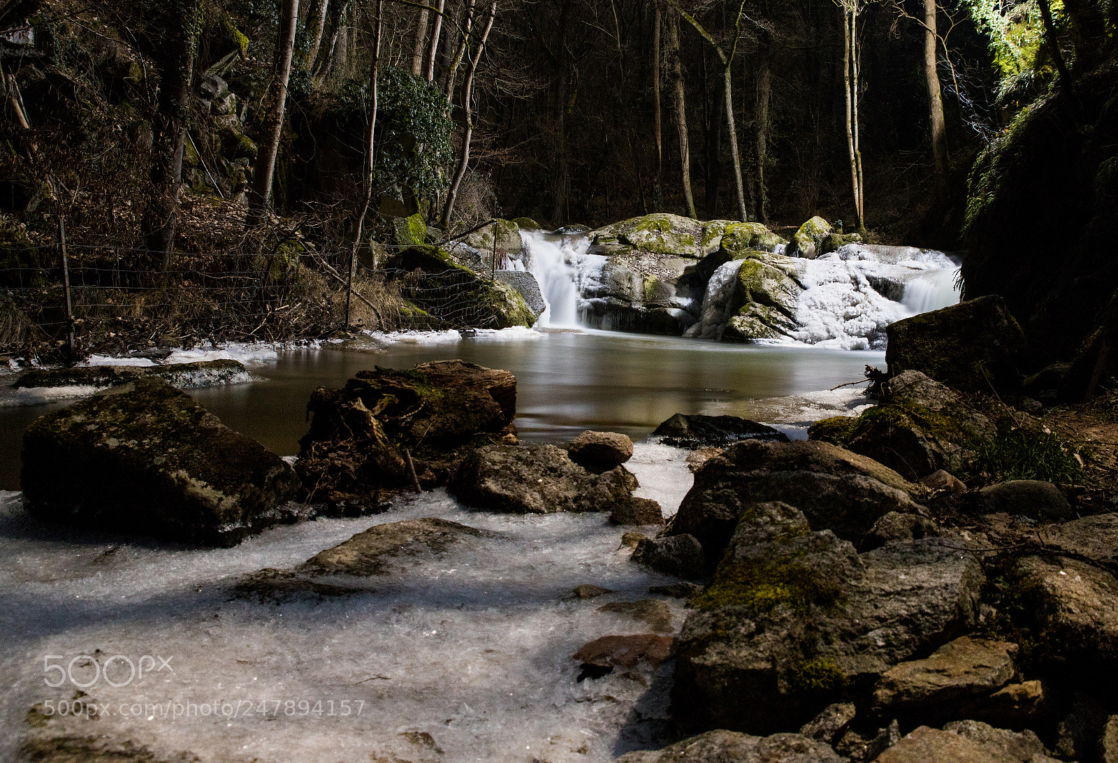 Canon EOS 6D Mark II sample photo. Site de donzy en photography