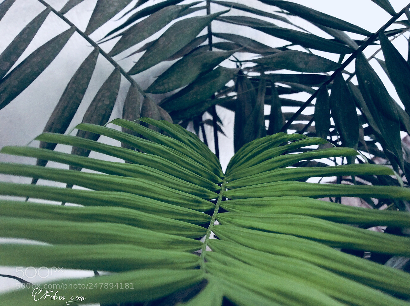 Apple iPad Air sample photo. Untitled photography