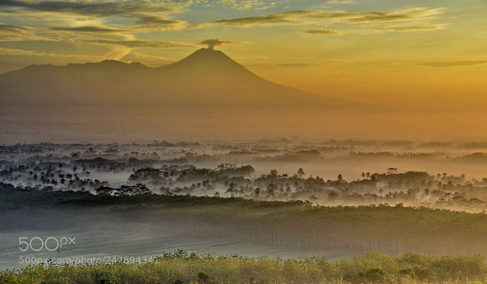 Nikon D5100 sample photo. Morning fog photography