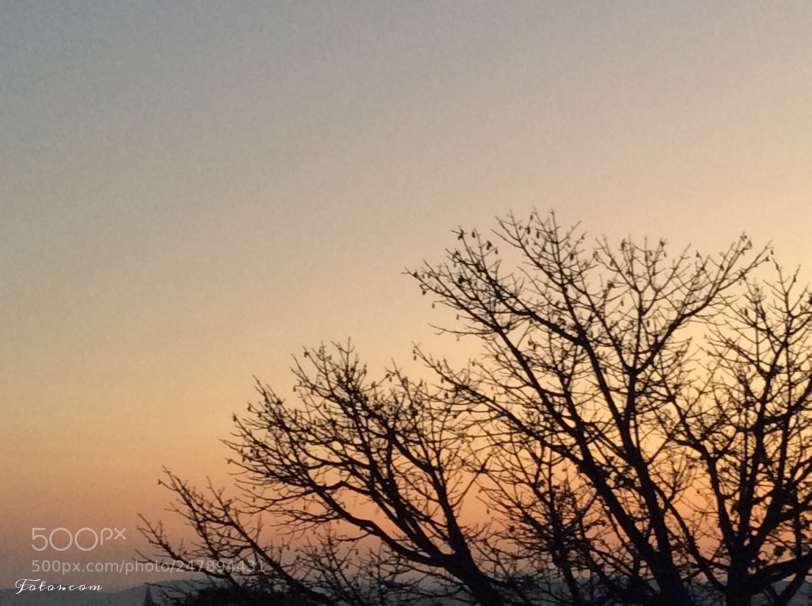 Apple iPad Air sample photo. Untitled photography