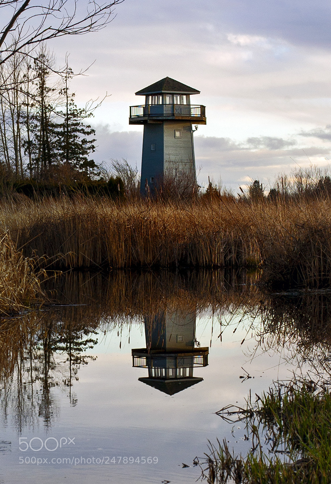 Canon EOS 5D sample photo. Tennant lake photography