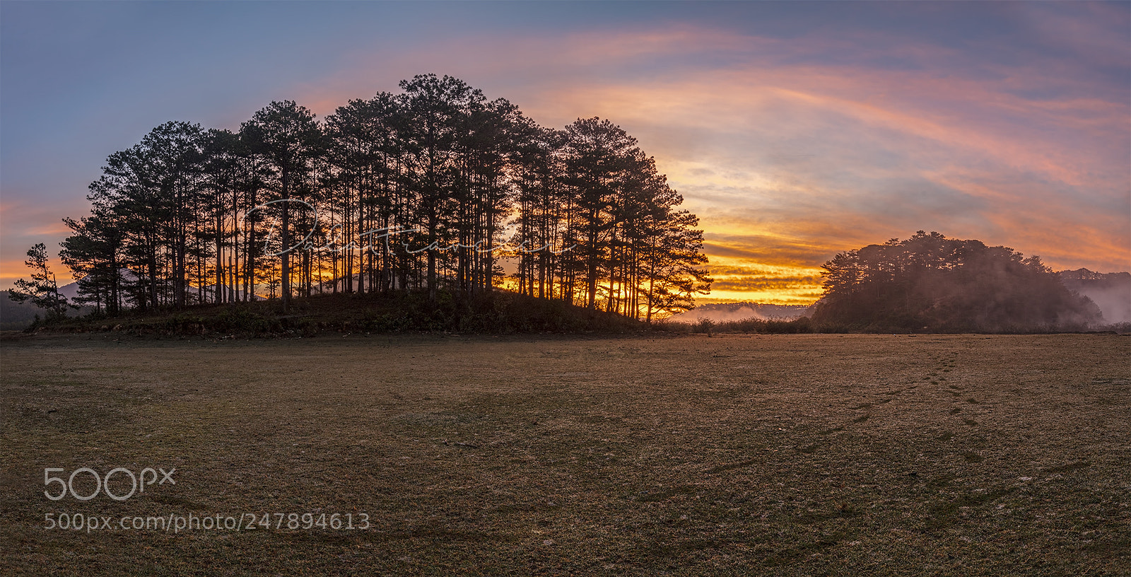 Canon EOS 5DS R sample photo. Pine island photography
