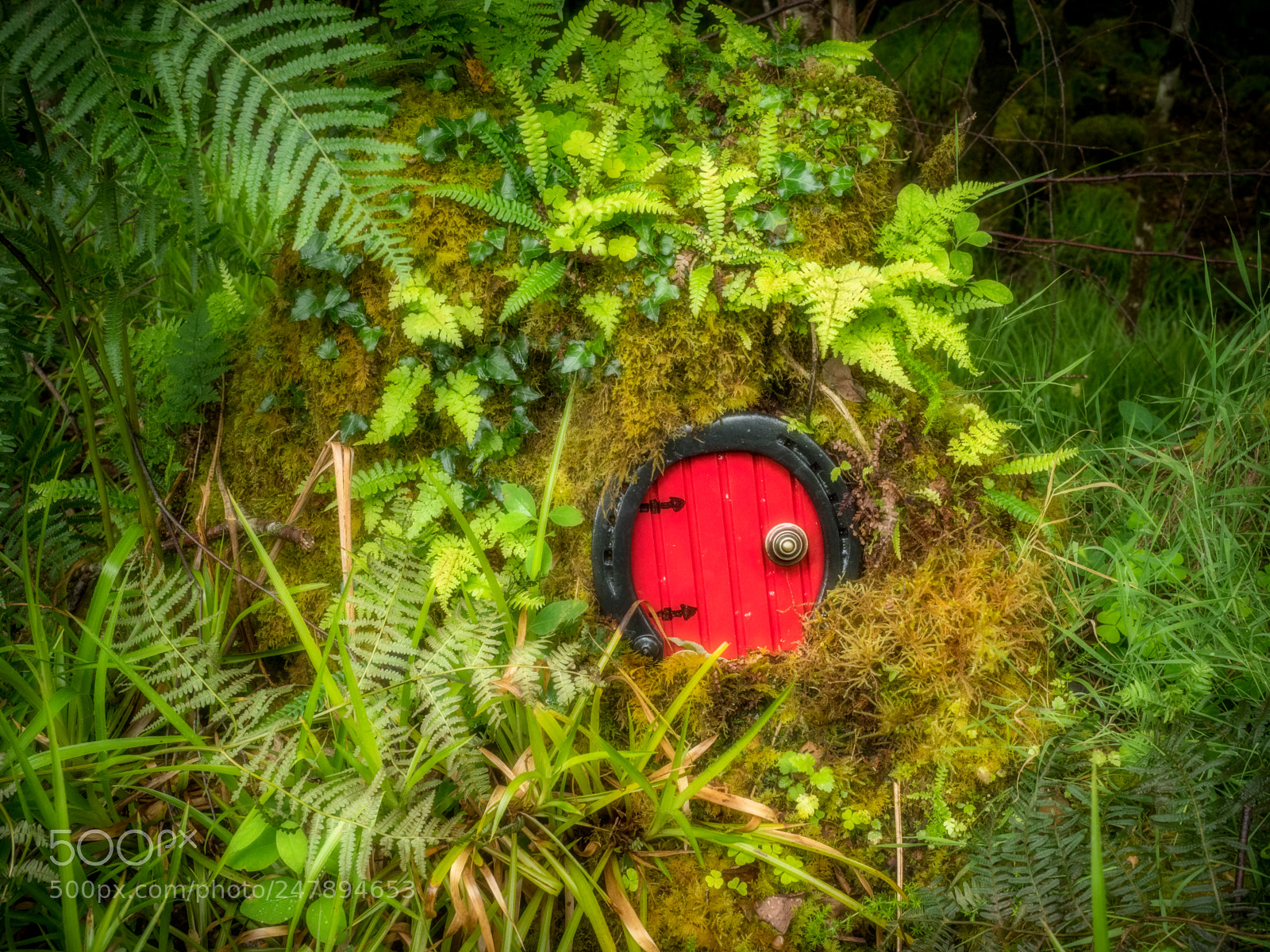 Olympus OM-D E-M1 Mark II sample photo. The little people of photography