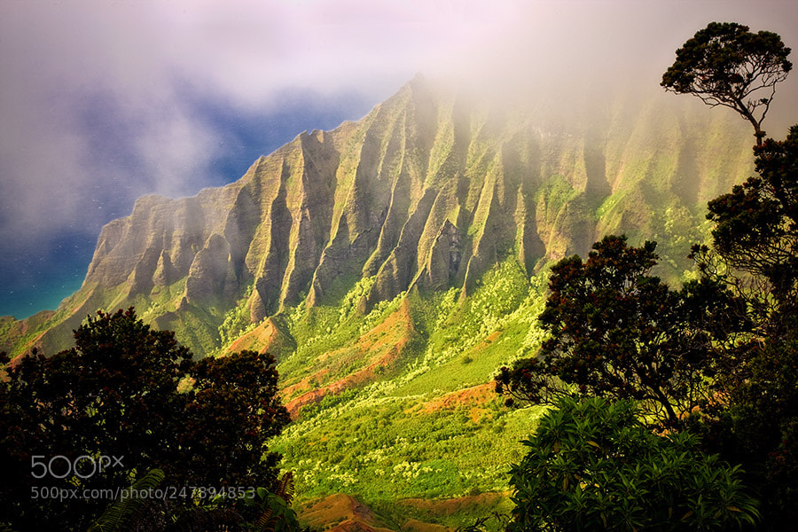 Canon EOS-1Ds Mark III sample photo. Kalalau valley with fog photography