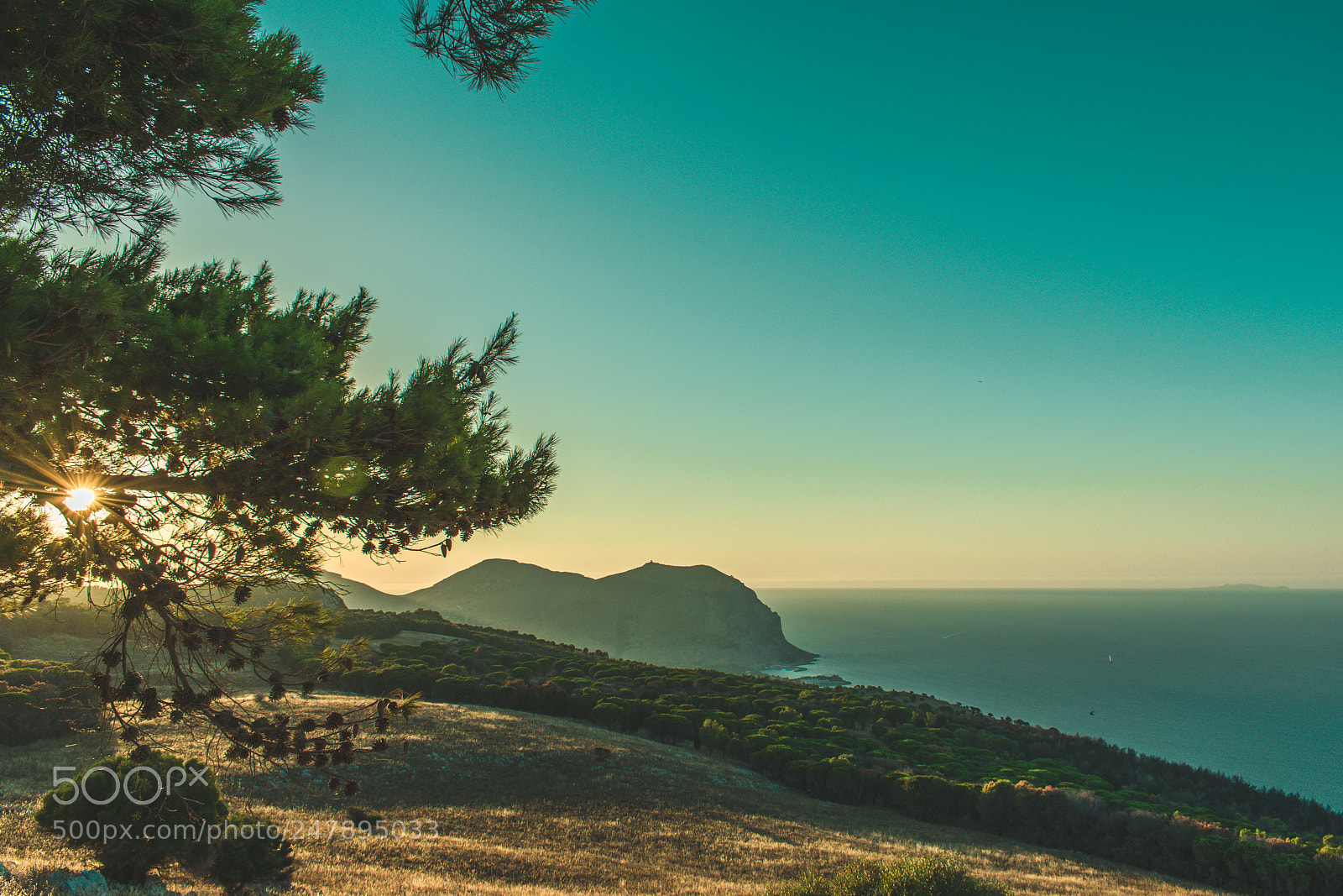 Nikon D3400 sample photo. Palermo al tramonto photography