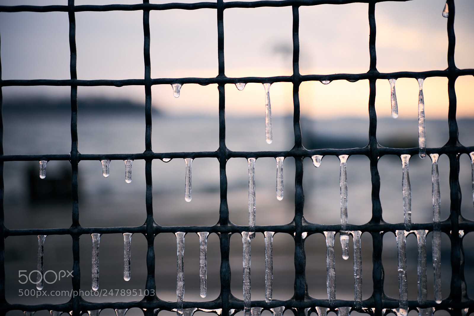 Fujifilm X-T2 sample photo. I'm cold photography