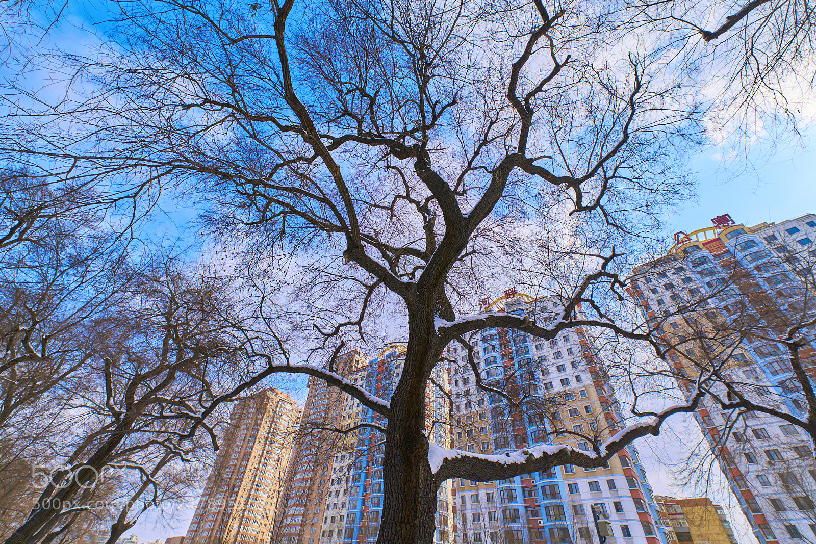 Sony a7R II sample photo. Untitled photography